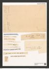 Grammatophora oceanica var. macilenta Grun. (de-Toni-Nr.: Genus 93, Species 3036) Zeichnungen Sammlung Grunow (NHMW-BOT-W0374719)